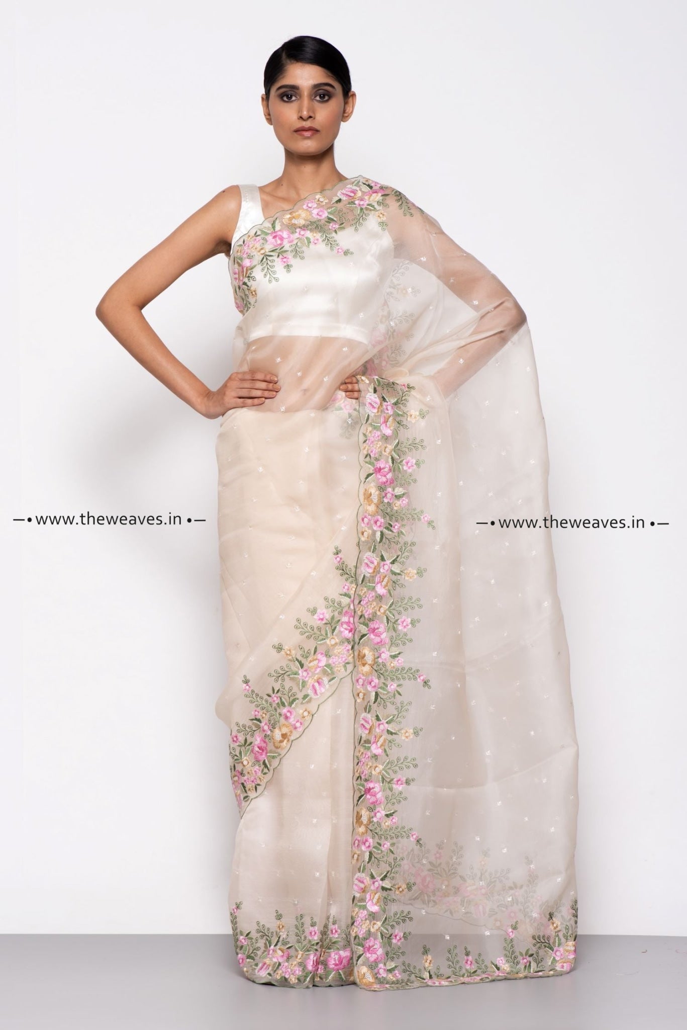 Beige Embroidered Organza Silk Saree