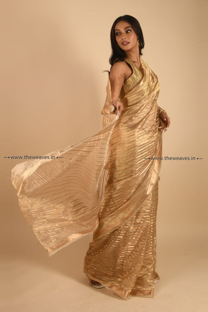 Golden Banarasi Striped Tissue Organza Saree Saree